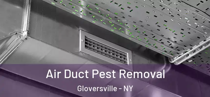  Air Duct Pest Removal Gloversville - NY