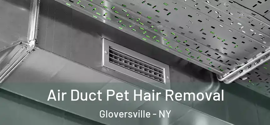  Air Duct Pet Hair Removal Gloversville - NY