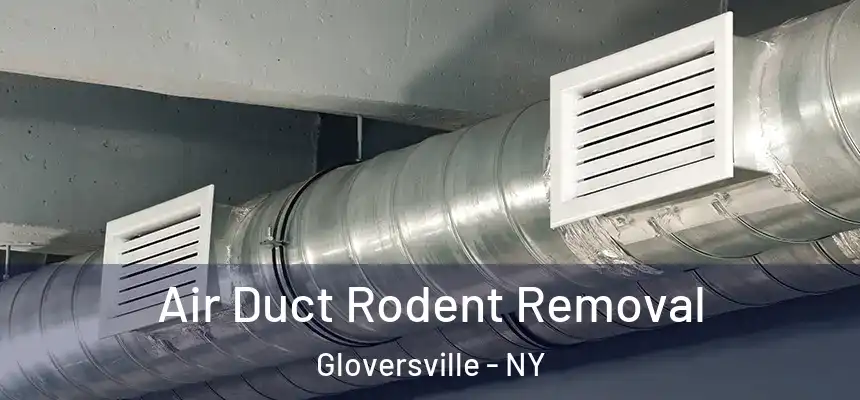  Air Duct Rodent Removal Gloversville - NY