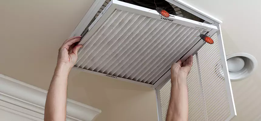 Preventive Cockroach-Proofing for Ducts in Gloversville