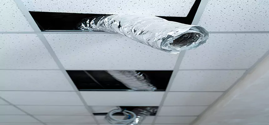 Affordable HVAC Sanitizing After Pest Removal in Gloversville