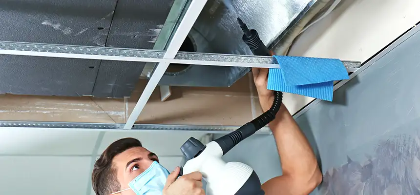 Our Air Duct Rodent Removal Services in Gloversville, NY