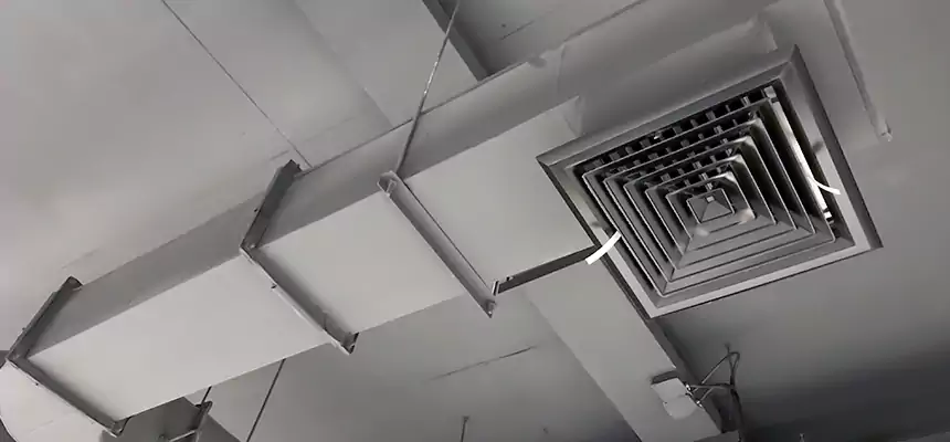 Our Pest Removal From Ducts Services in Gloversville, NY