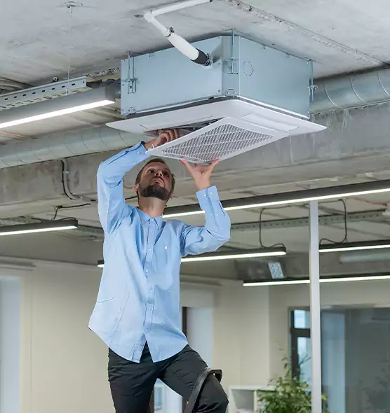 Advanced Rodent Droppings In Vents in Gloversville, NY