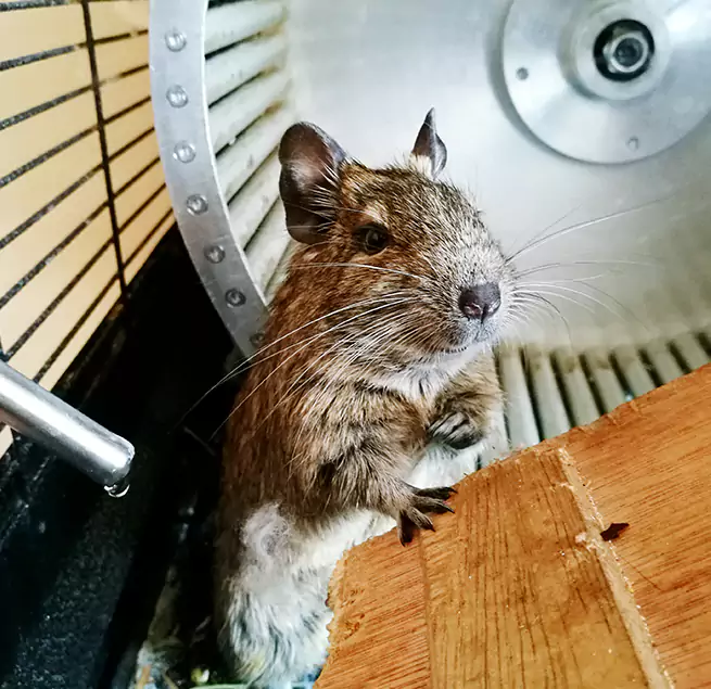 Why Homeowners & Businesses Trust Us Gloversville, NY?